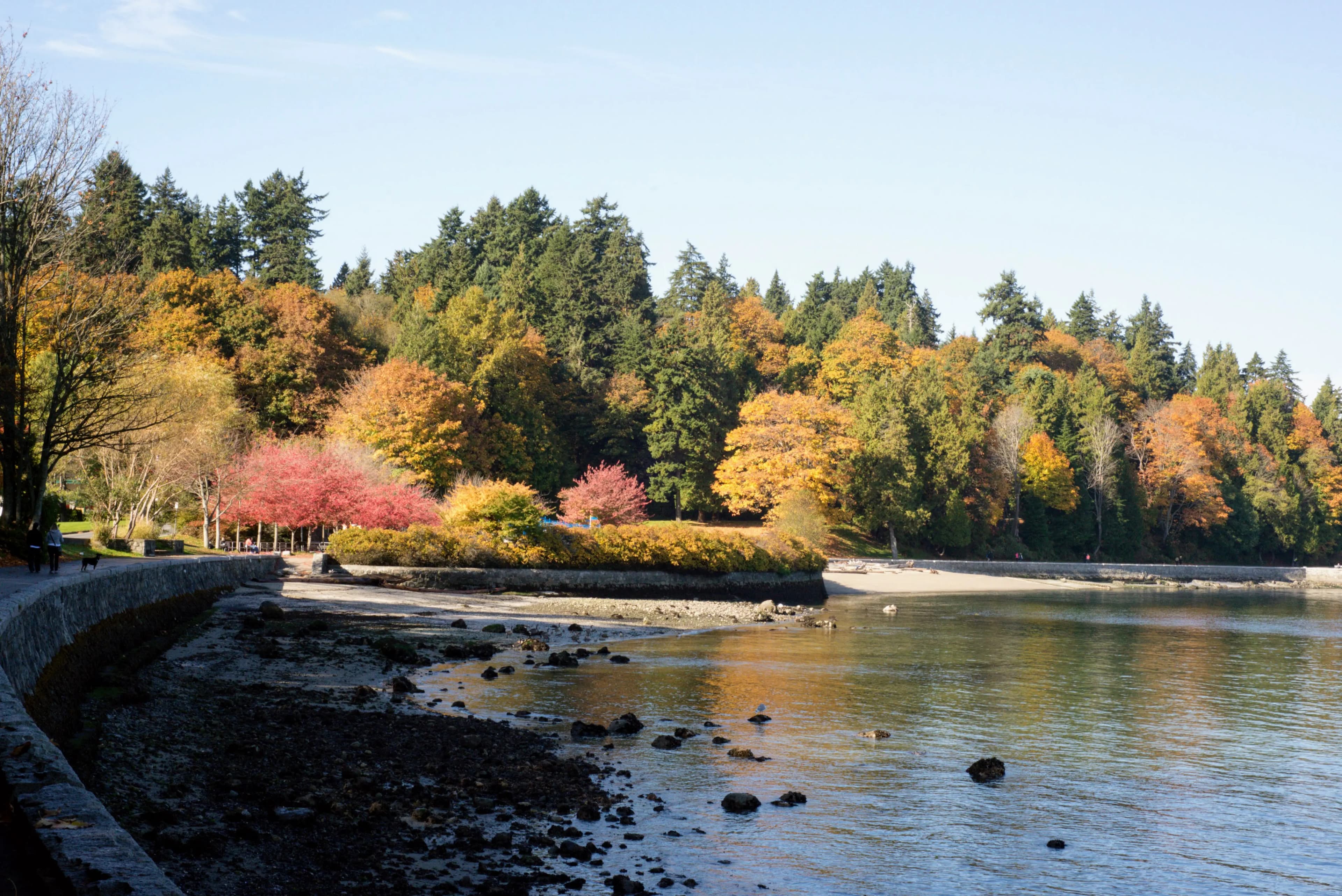 5 Reasons to Visit Vancouver in October