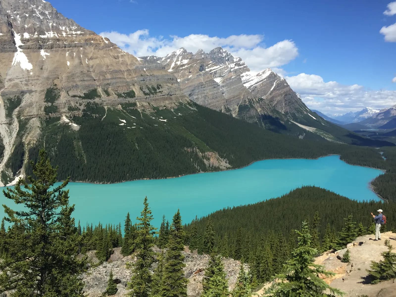 Tour privado no Lago Peyto, com vista panorâmica das águas turquesas nas Montanhas Rochosas