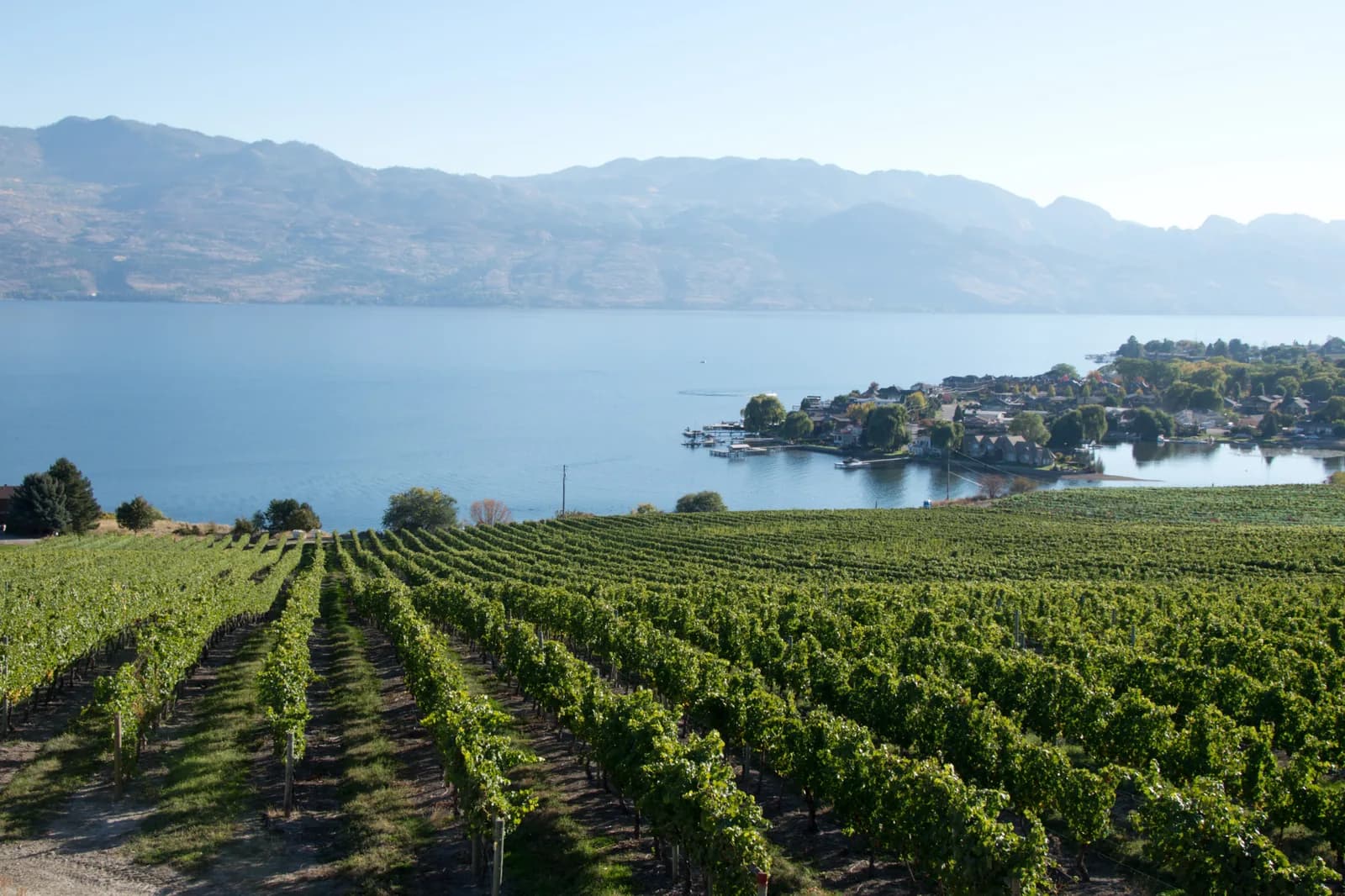 Vinhedos e lago do Vale do Okanagan em Kelowna, parada do roteiro Calgary para Vancouver