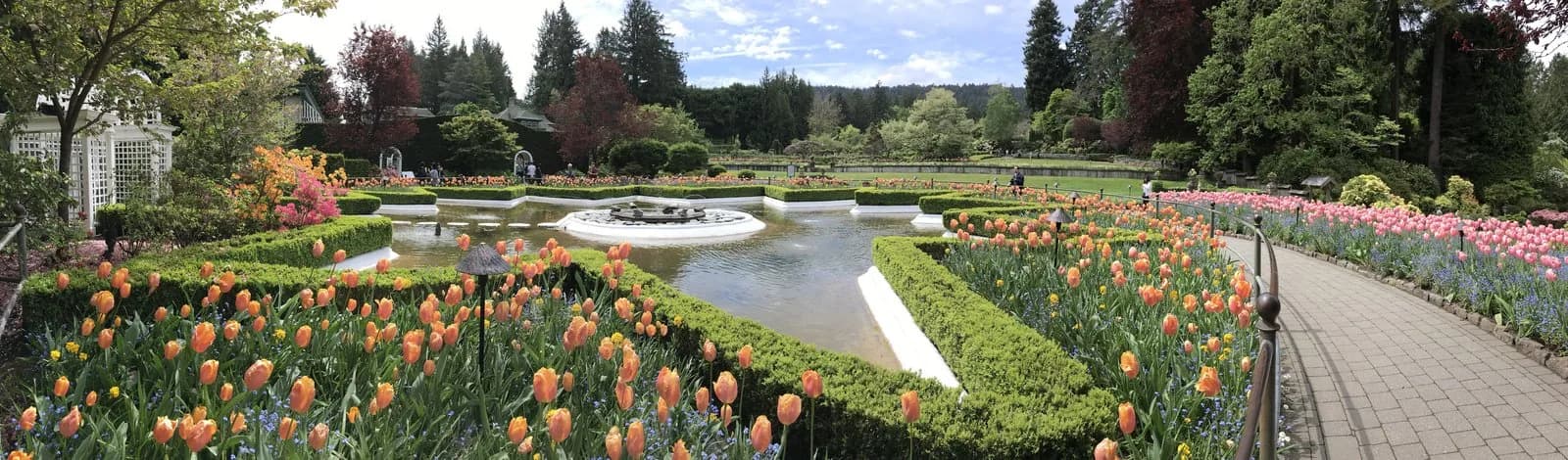 Fonte cercada por canteiros de tulipas coloridas no Sunken Garden do Butchart Gardens