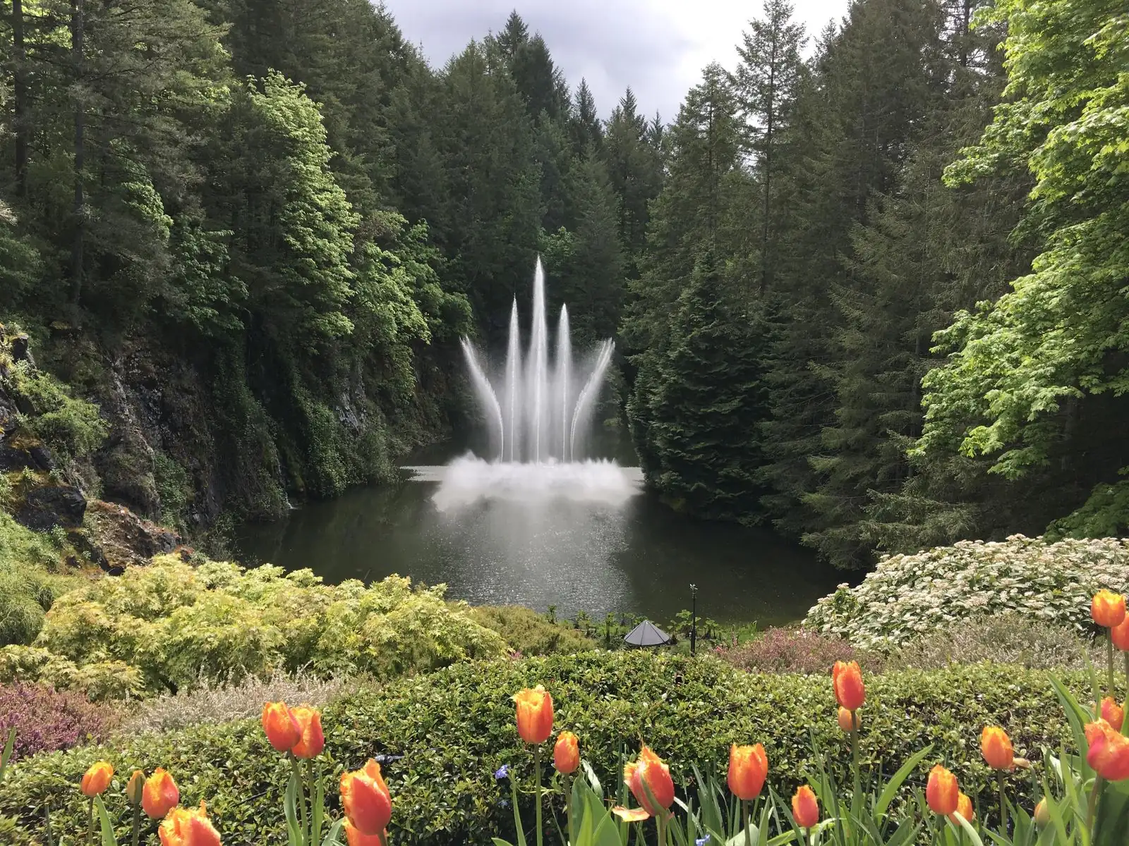 Fonte Ross Fountain cercada por tulipas coloridas em Butchart Gardens