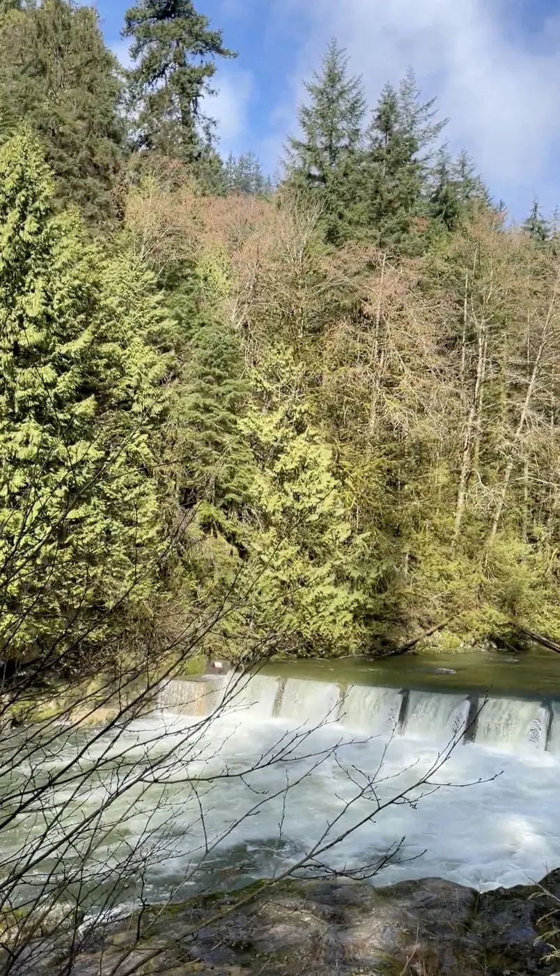 Grupo de turistas no Cliffwalk do Capilano durante tour privativo no North Shore