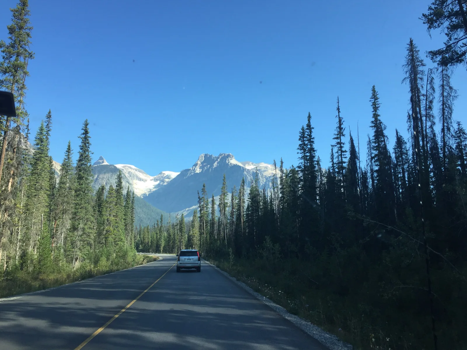 Scenic road cutting through the Canadian Rockies, seen from inside the private vehicle